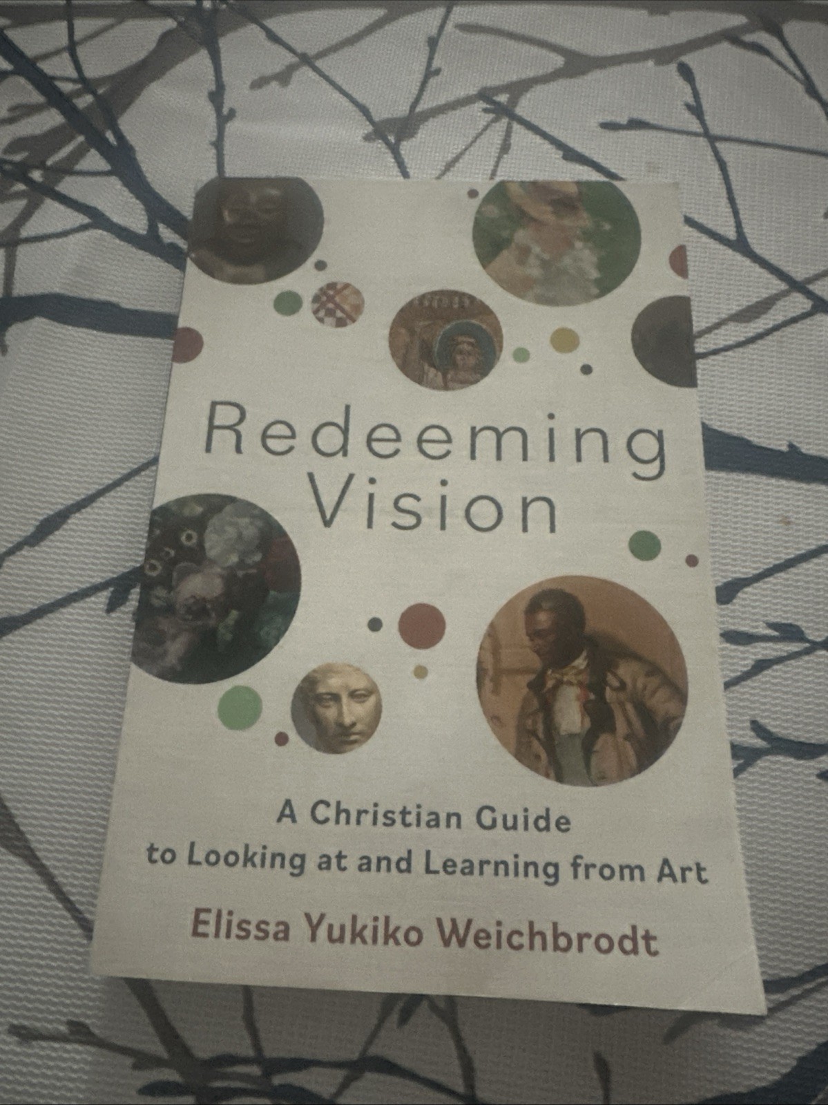 Redeeming Vision A Christian Guide To Looking at And Learning From Art Elissa