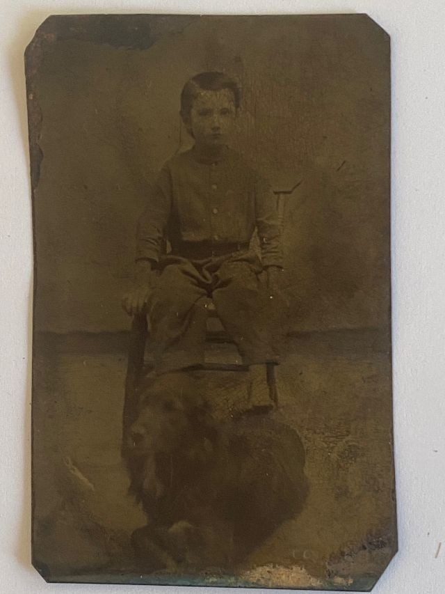 Original Antique Tintype Boy Dog Retriever ? Antique Photo Beach