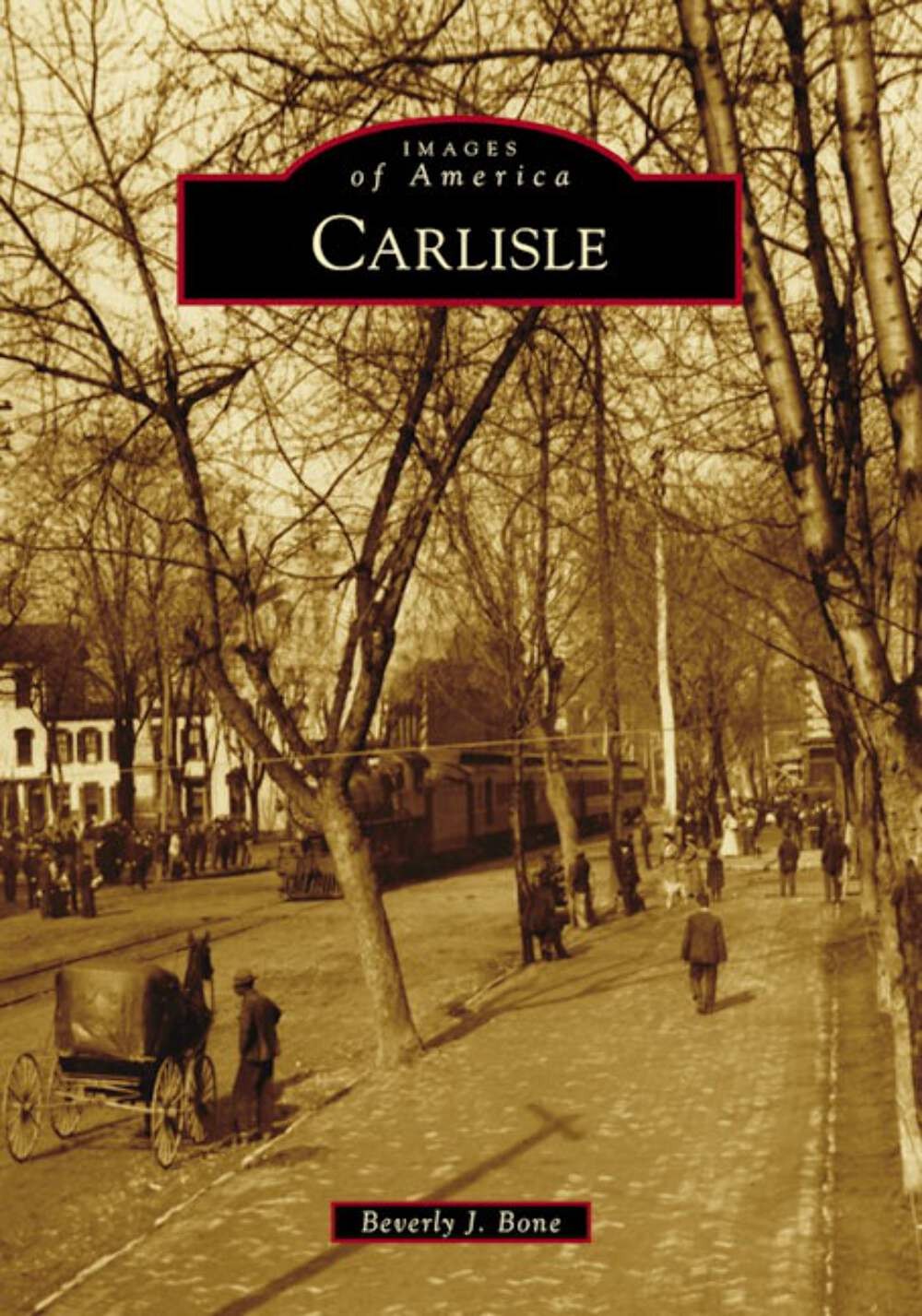 NEW Arcadia Publishing Carlisle, PA 9781467105101 Images of America Trade Paperb