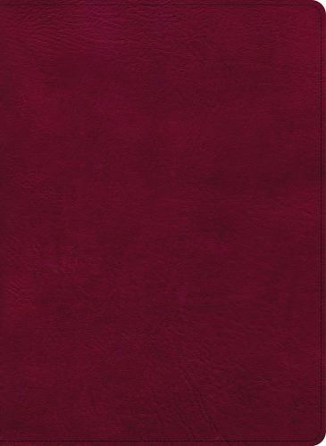 CSB Holy Land Illustrated Bible, Burgundy LeatherTouch, Black Letter - CSB Bible