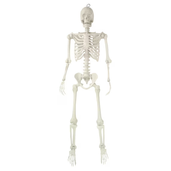 Way To Celebrate 5FT Faux Skeleton Life Size White Halloween Prop