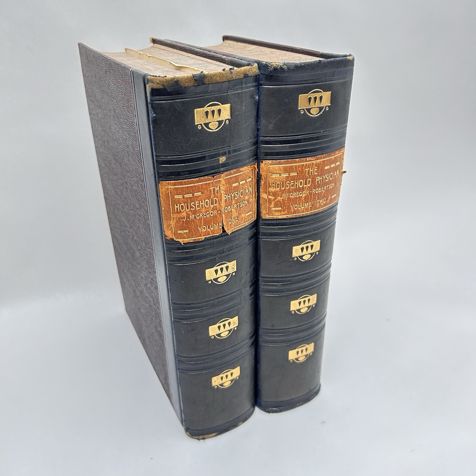 The Household Physician Antique Medical Reference 2 Volume Set Leather Bound