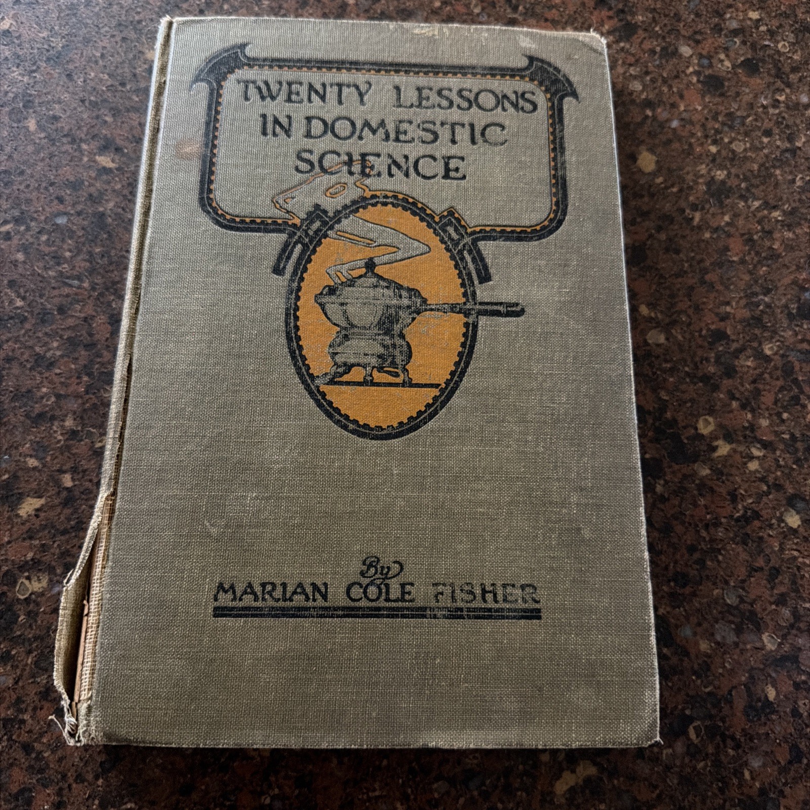 1916 Antique Book “Twenty Lessons in Domestic Science” Fisher, Illustra. 1916 Antique Book “Twenty Lessons in Domestic Science” Fisher, Illustra.