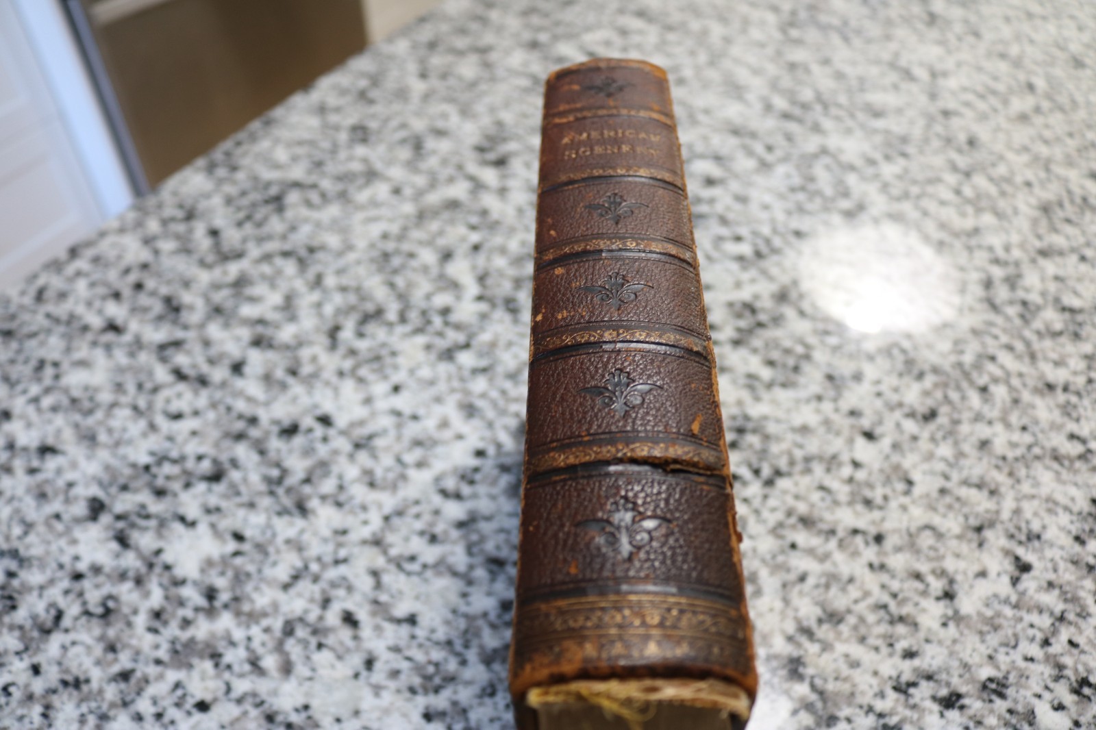 American Scenery ( 2 Vol. in one book) by Willis (1840)