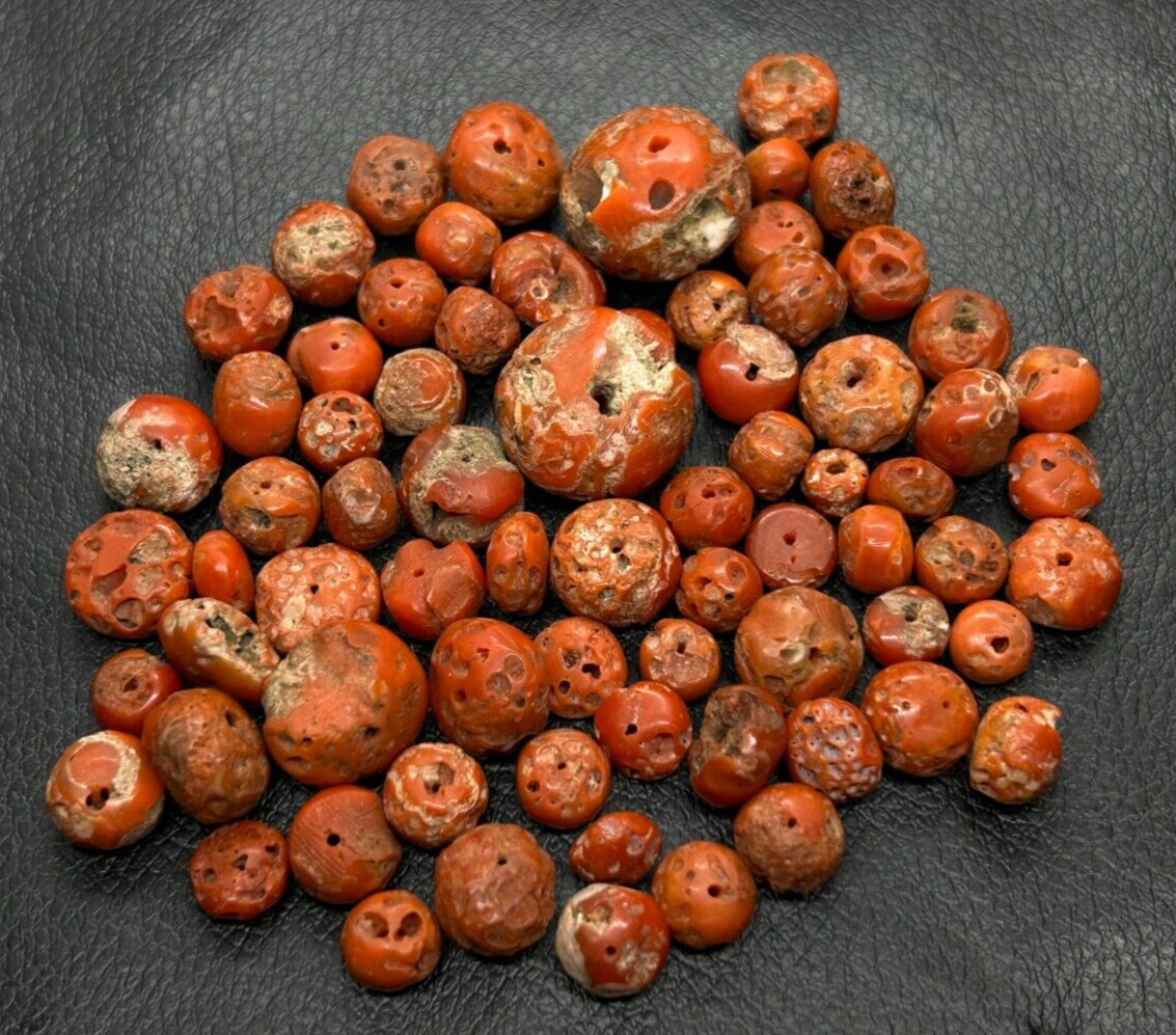 200 Crt Mediterranean Old Stock Coral Beads Lot-Natural Red Coral Rondell Beads 200 Crt Mediterranean Old Stock Coral Beads Lot-Natural Red Coral Rondell Beads