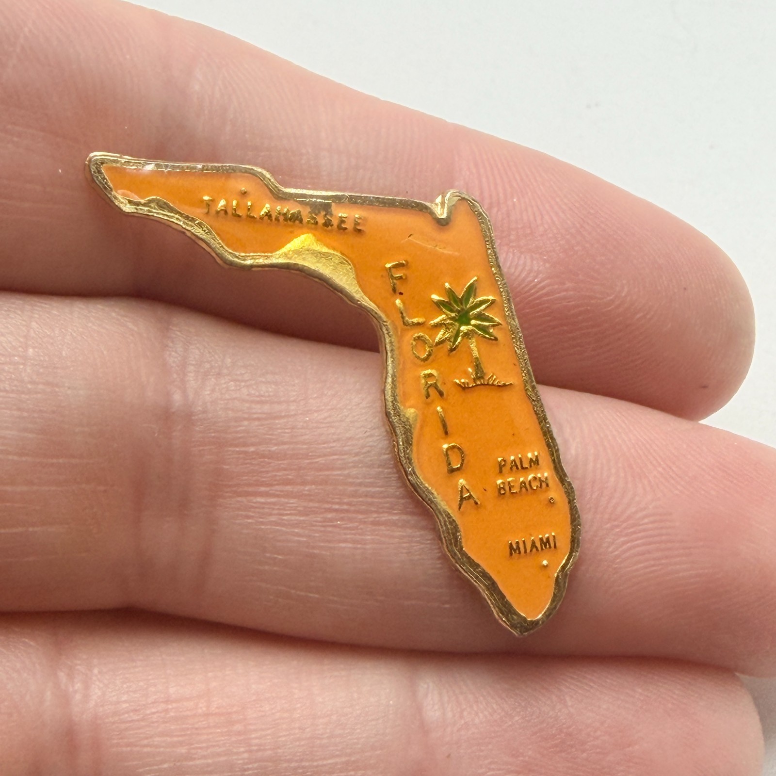 Florida State Map Shape Lapel Pin Miami Palm Beach Tallahassee Souvenir Vintage Florida State Map Shape Lapel Pin Miami Palm Beach Tallahassee Souvenir Vintage