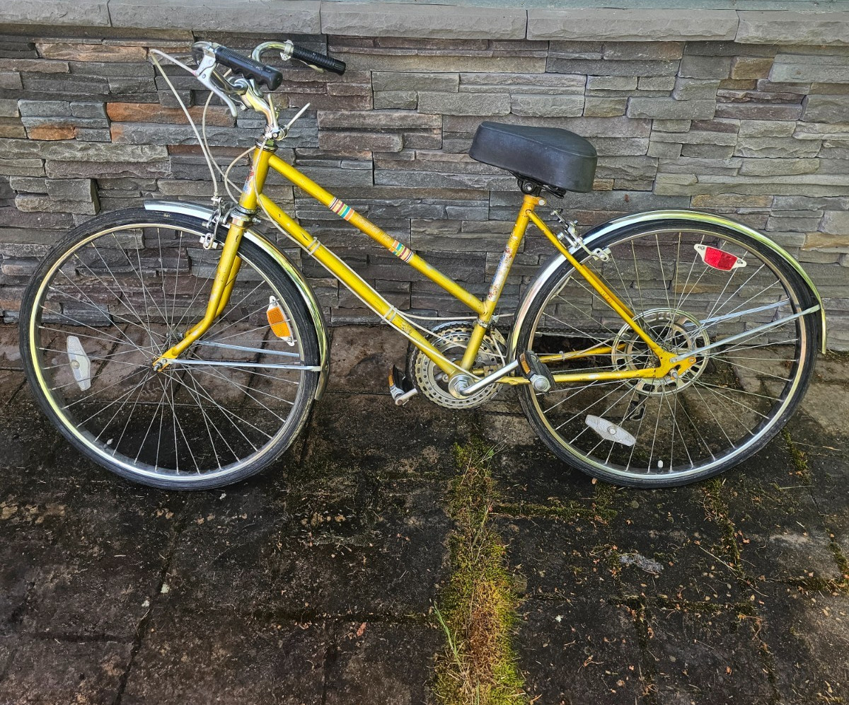 RARE Vintage BIKE 1973-1975 O.F MOSSBERG&SONS TOURIST 10 GOLD MENS 26IN RARE Vintage BIKE 1973-1975 O.F MOSSBERG&SONS TOURIST 10 GOLD MENS 26IN