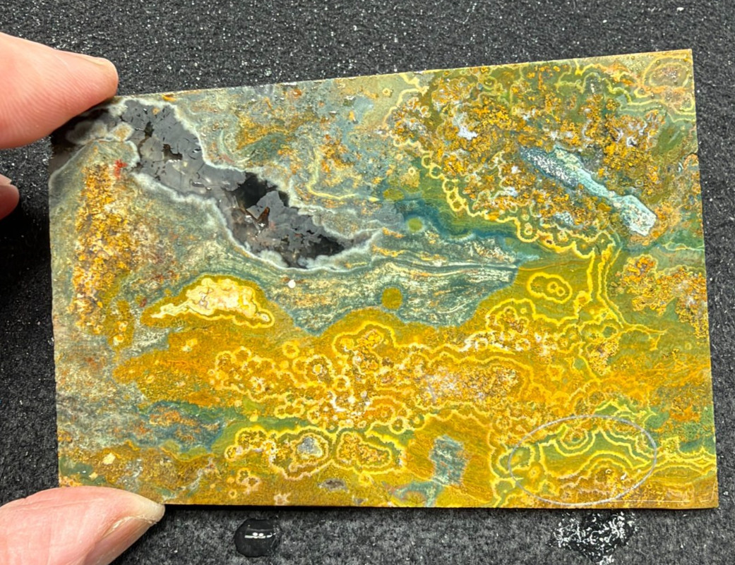 Ocean Jasper Slab, great for making cabochons 3.95 oz (#1082)