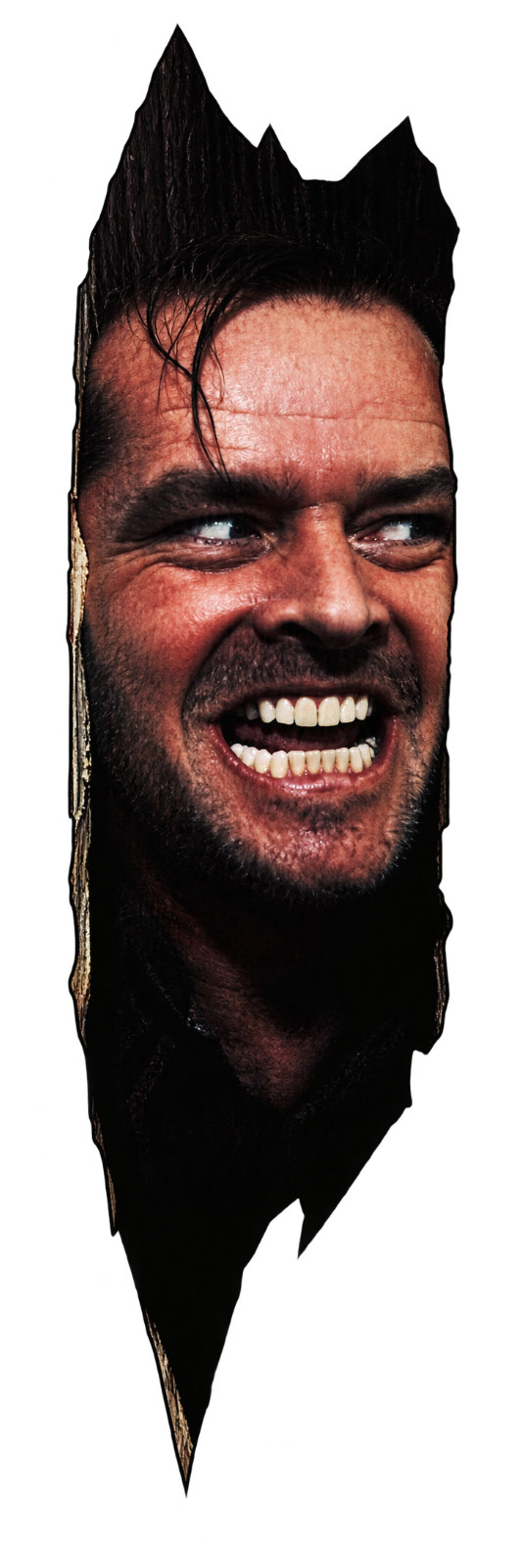 THE SHINING DOOR VINYL DECAL HERE'S JOHNNY JACK NICHOLSON STEVEN KING 