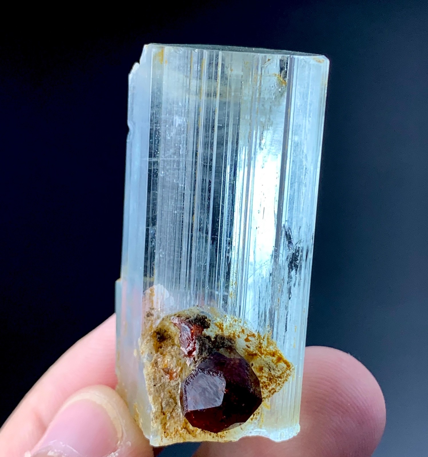 116 Carat Aquamarine Crystal With Red Garnet Specimen From Pakistan 