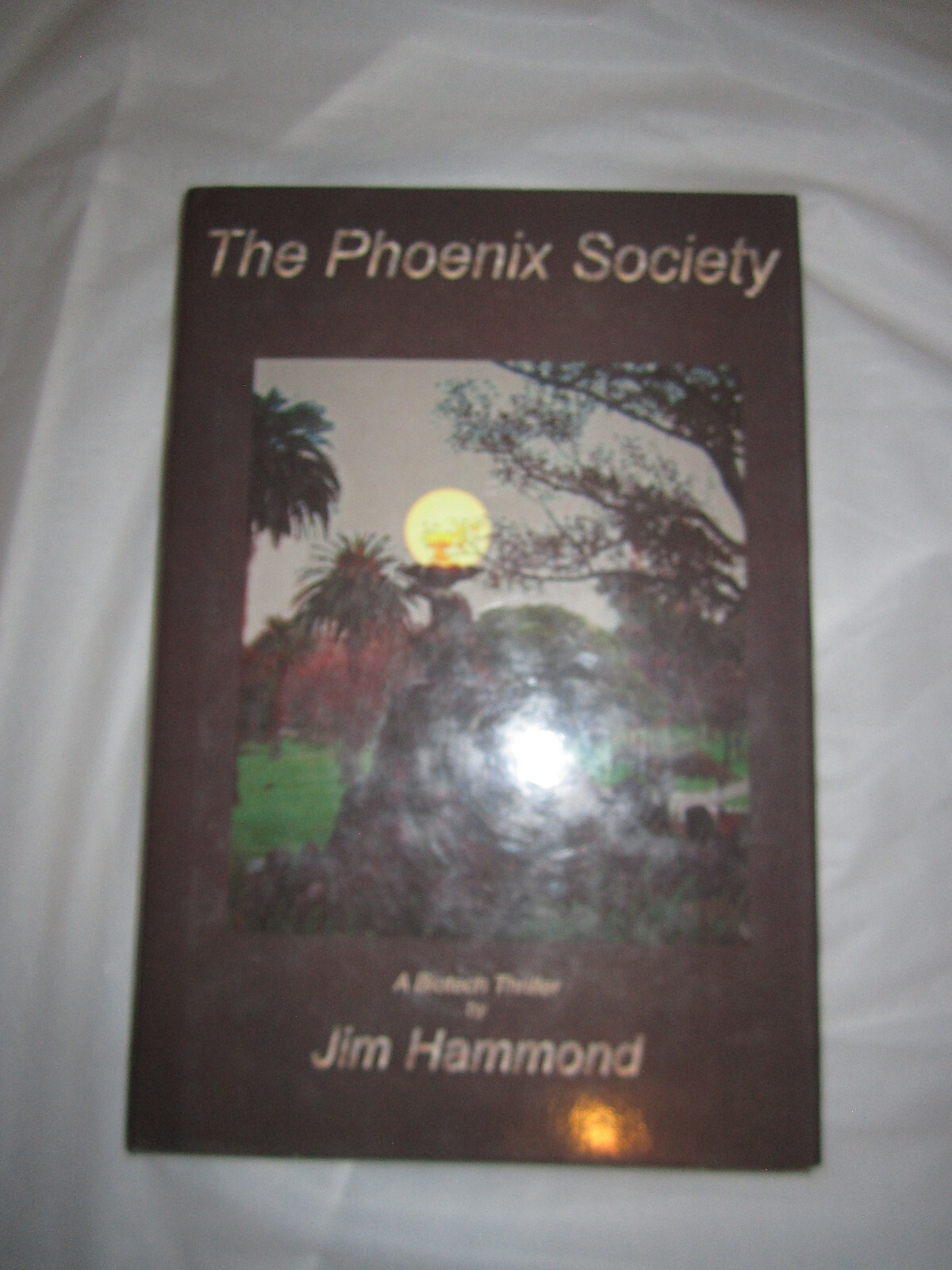 Jim Hammond The Phoenix Society HC/DJ 1st Signed