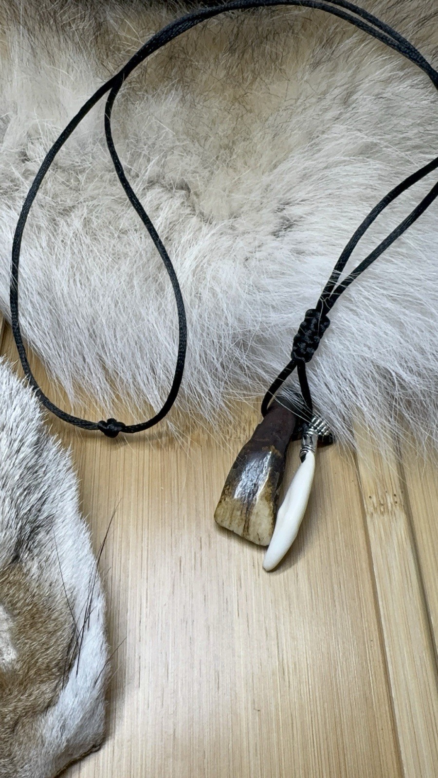 COLMILLO DE COYOTE Y BUFALO AMULETO DE ALTA PROTECCION BRUJERIA Y FUERZA ESPIRIT