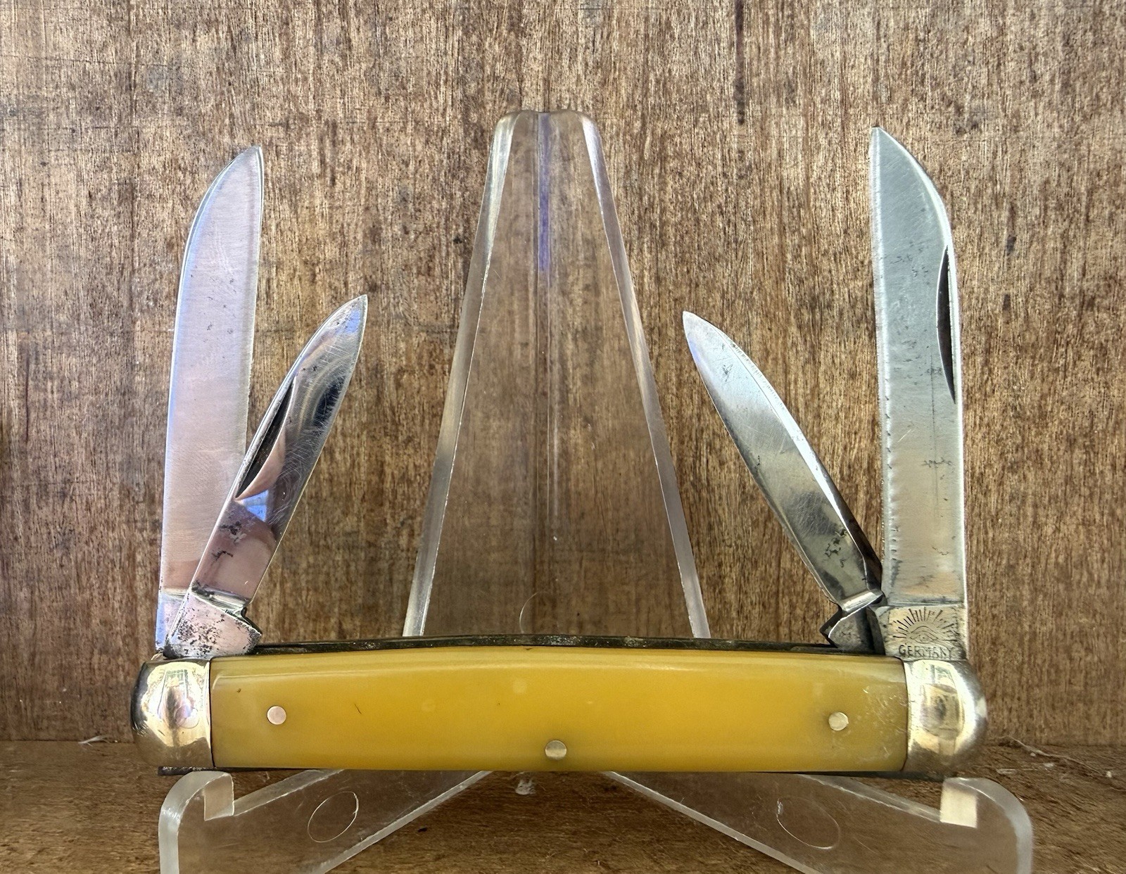 Vintage German Eye 3 Eye Congress Knife Old Yellow 4 Blade 3 1/2” Germany