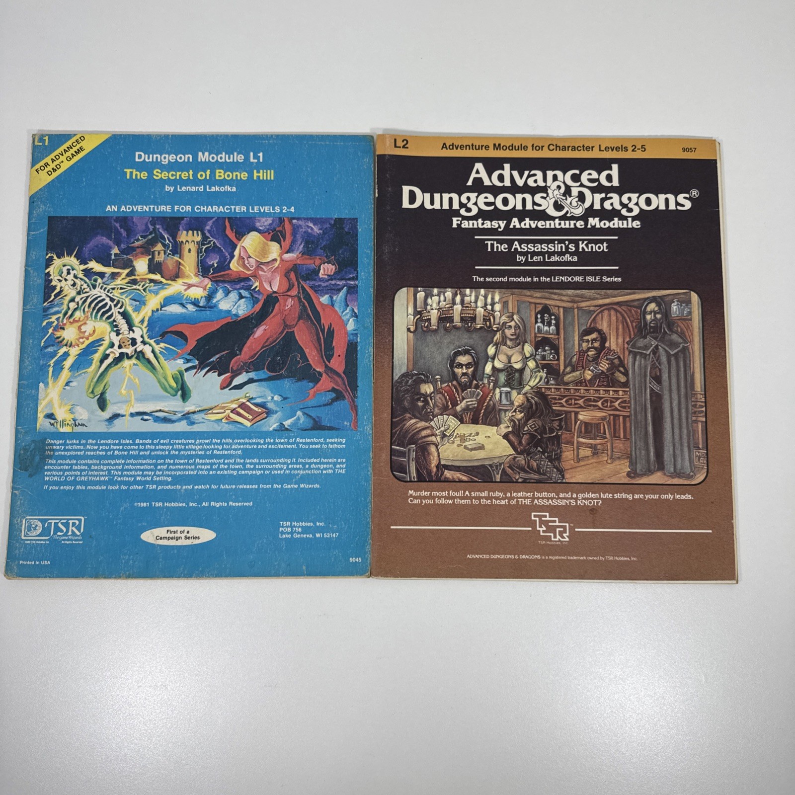 TSR Advanced Dungeons & Dragons D&D Module L1 9045 & L2 9057 Bundle