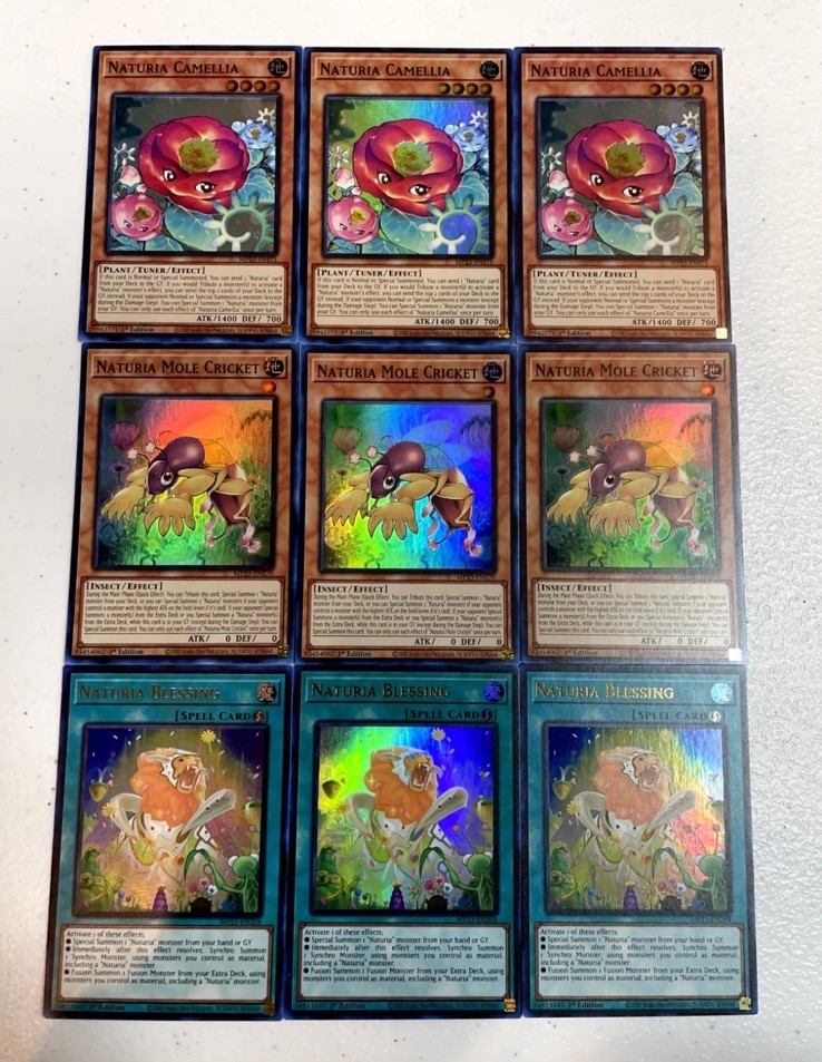 🔥 YUGIOH  9x Naturia Camellia Blessing Cricket MP23 HOLOFOIL PLAYSET NM 1ST ED