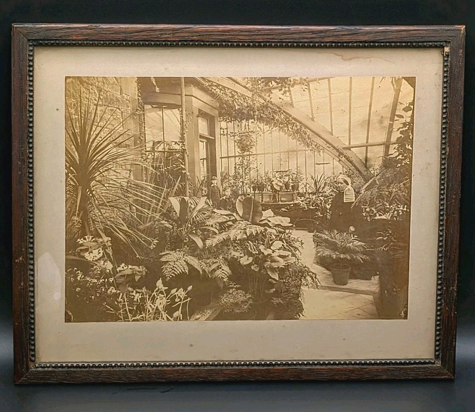 1890s Victorian Estate Conservatory Photo Botanical Carved Wood Frame Antique