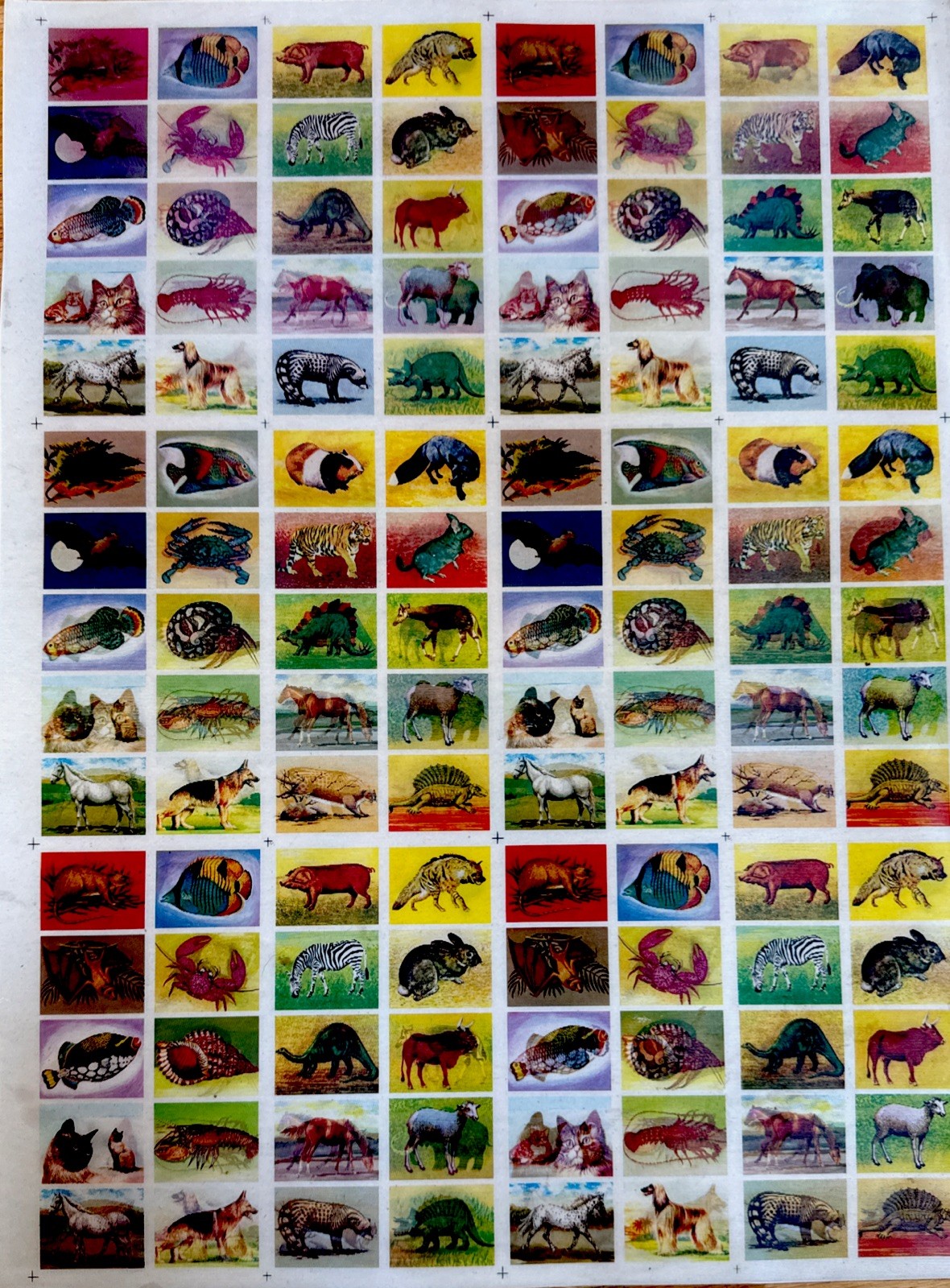 Vtg Vari Vue Lenticular soft vinyl moving motion Multiple Species RARE 15x20” Vtg Vari Vue Lenticular soft vinyl moving motion Multiple Species RARE 15x20”