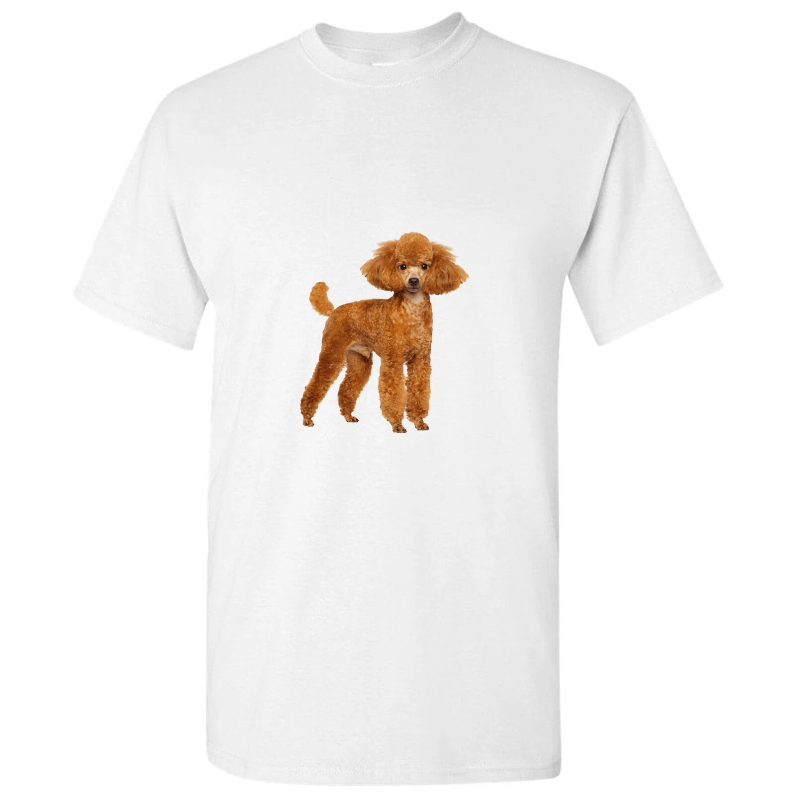 Brown Poodle Dog Cute Baby Puppy Pet White Men T Shirt Tee Top S - 5XL