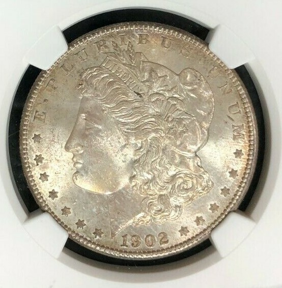 1902-O MORGAN SILVER DOLLAR ~ NGC MS 66 ~WOW BEAUTIFUL COIN~ REF#57-011