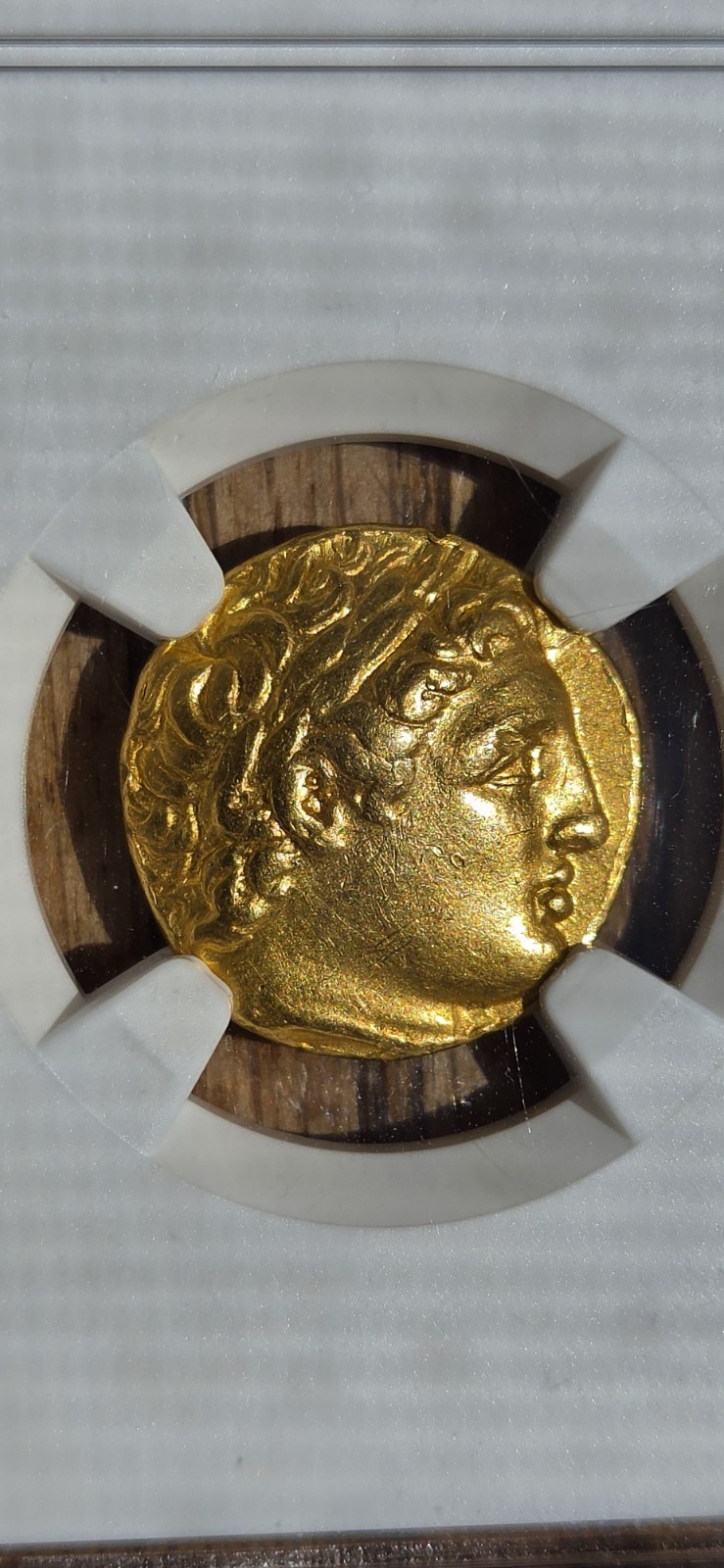 ANCIENT COIN MACEDON \ ANCIENT COIN MACEDON \