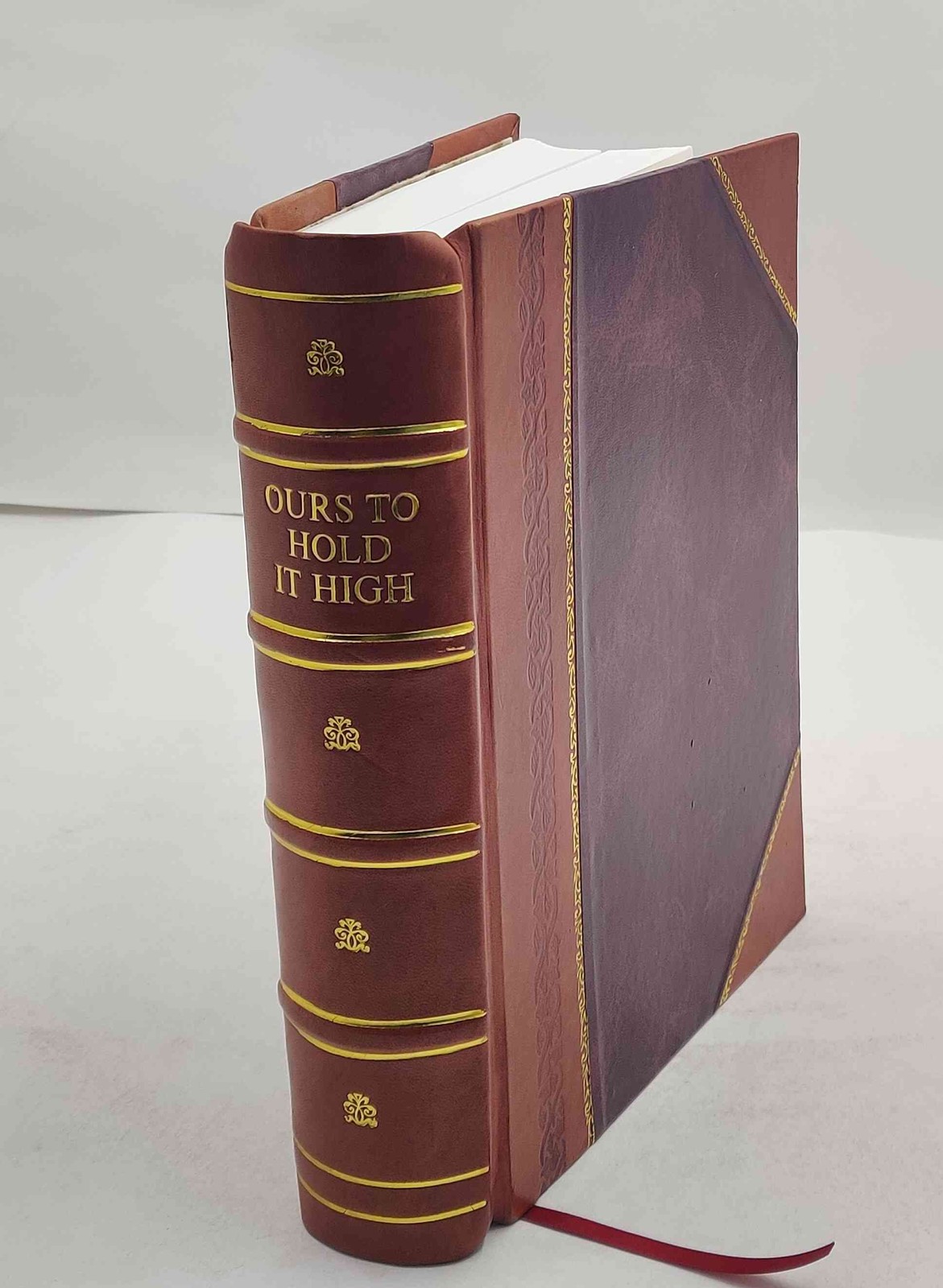 Ours To Hold It High The History Of The 77Th Infantry Division I [Leather Bound]