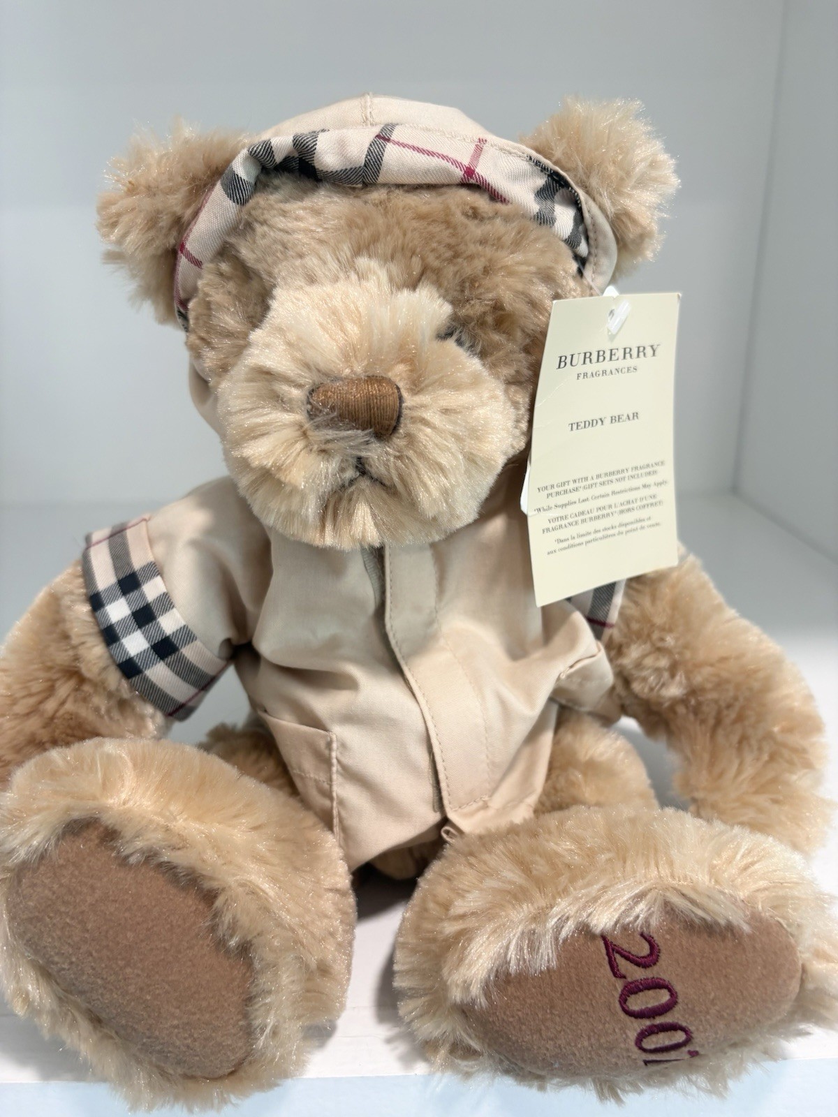 BURBERRY 2007 Plush Teddy Bear Nova Check Raincoat Hooded Collectible READ