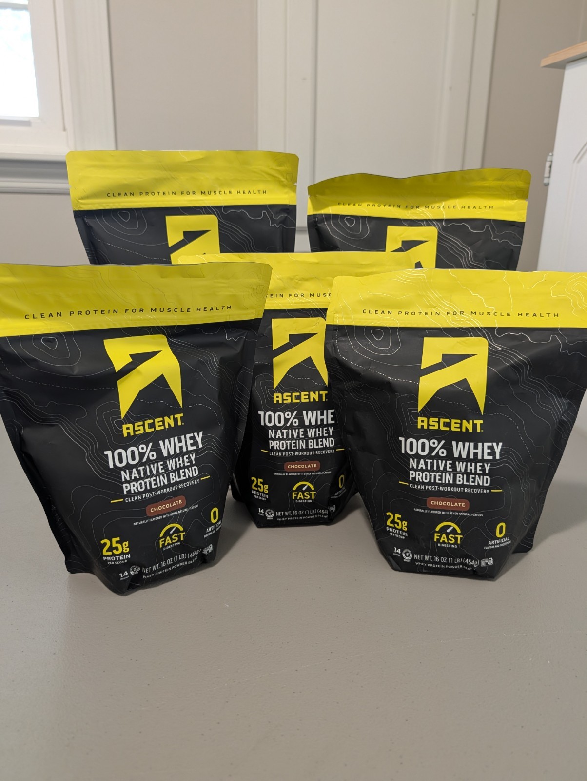 FIVE PACK - -Ascent Native Whey Protein Powder Blend, Chocolate, 1 lb BAGS