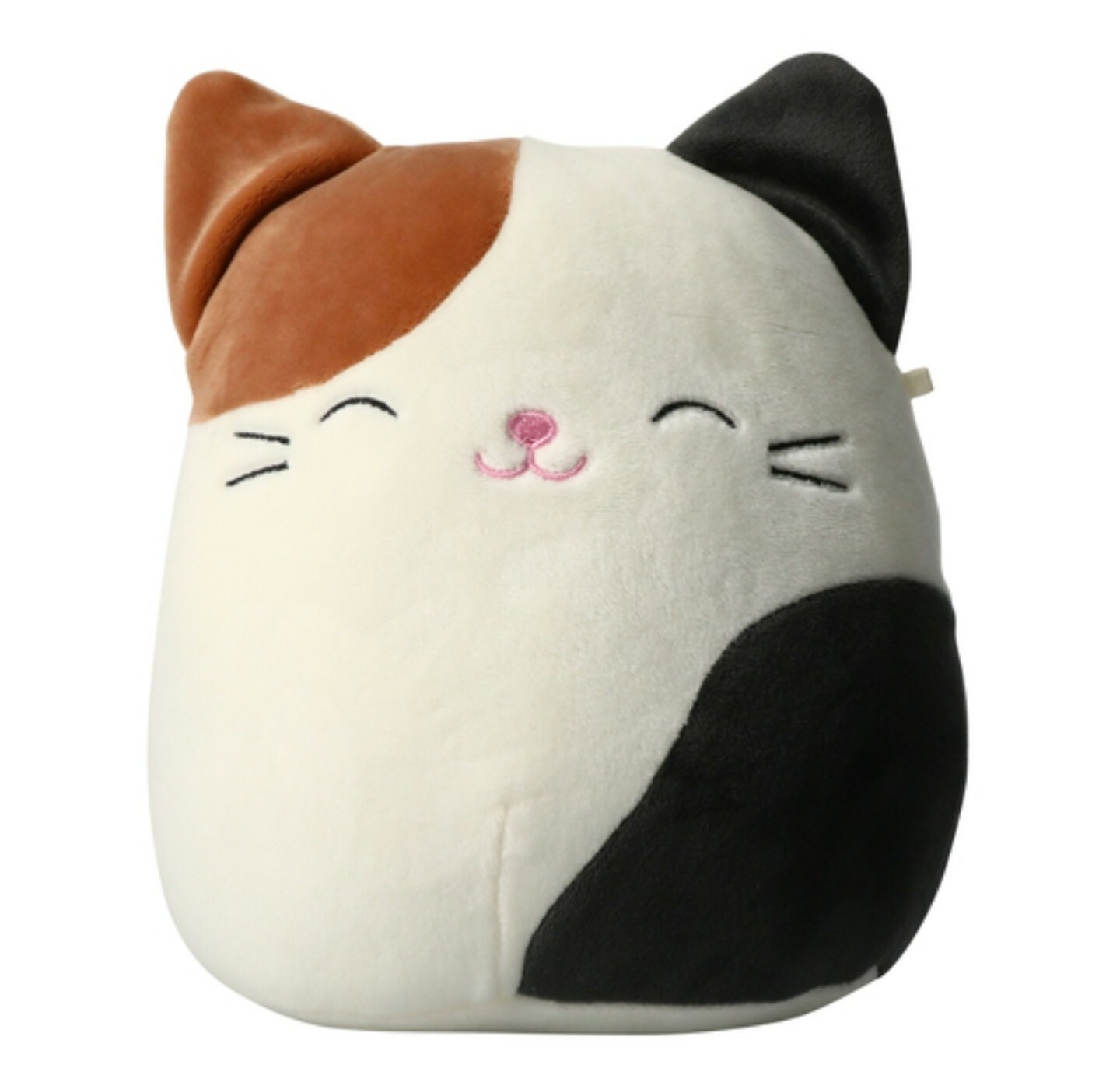 Squishmallows CAM the Calico Cat 7-8\