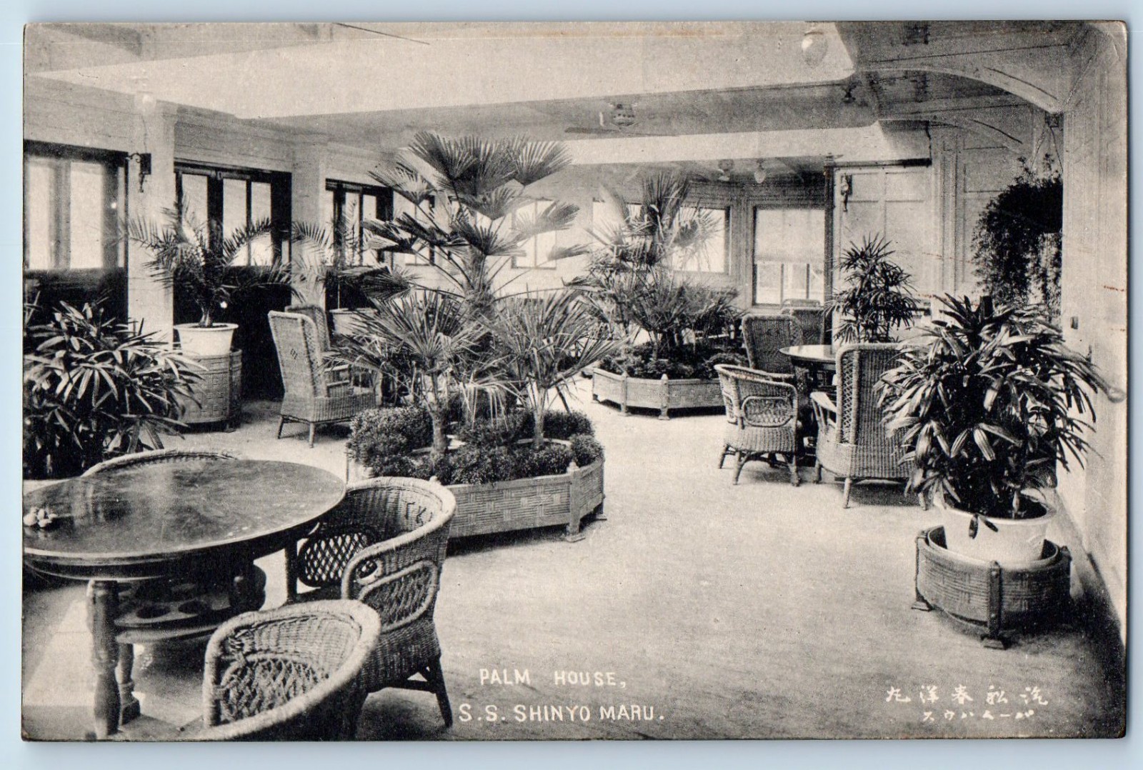 c1910\'s Palm House Interior S S Shinyo Maru Steamer Antique Unposted Postcard
