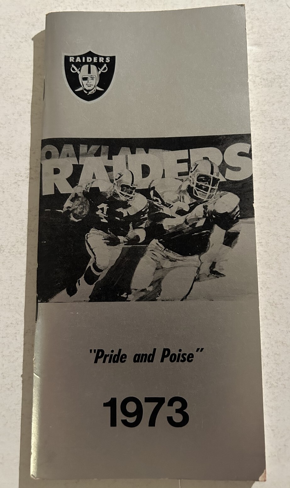 1973 OAKLAND RAIDERS Media Guide Yearbook Ken STABLER Shell BILETNIKOFF Blanda 