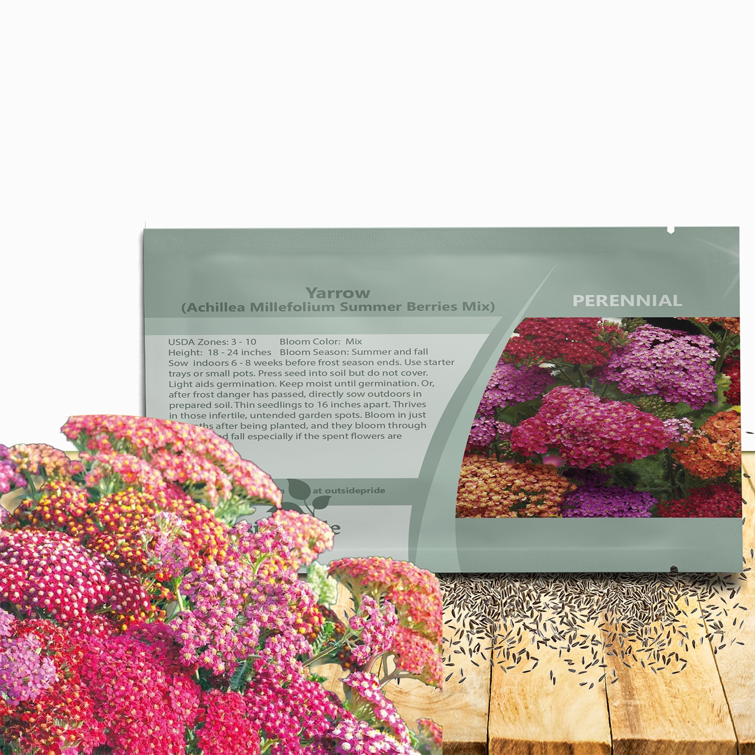 2000 Seeds Yarrow Seed Mix For Planting Outdoors - Achillea Summer Berries