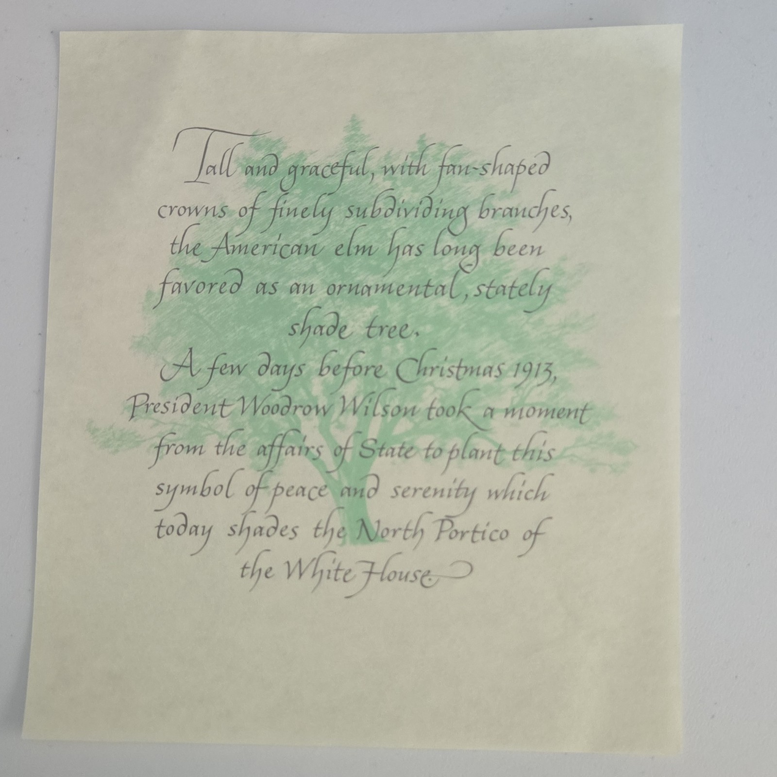 Woodrow Wilson President 1913 Calligraphy Print on Paper, US Politics Woodrow Wilson President 1913 Calligraphy Print on Paper, US Politics