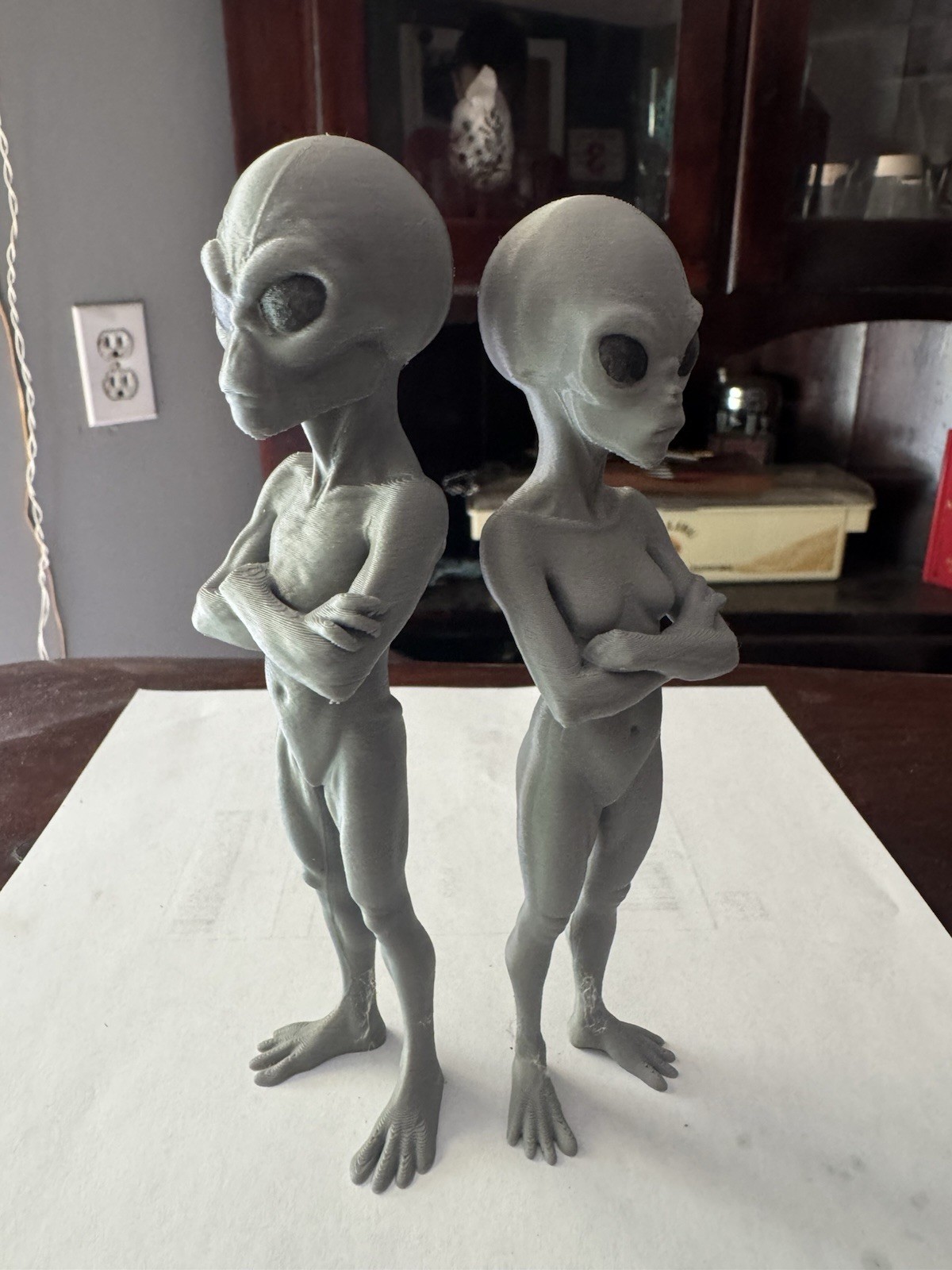 The Angry Couple  6” Gray Alien Male & Female Figure Set