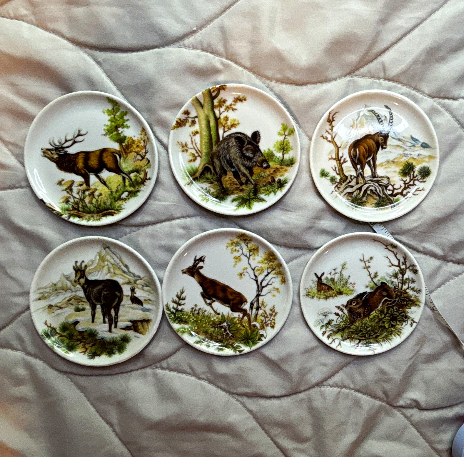 Vintage Royal Porzellan KPM Bavaria Germany Hand Painted Wildlifecollectors plat