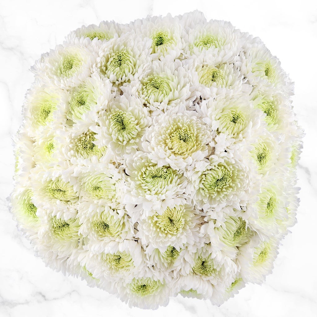 Super Mums Fresh Cut Floral Bouquet, 60-stems