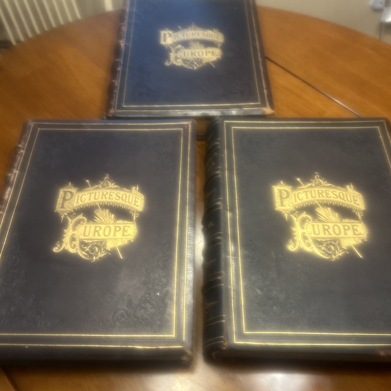 Picturesque Europe 3 Volume Set Leather Binding Appleton Illustrated Picturesque Europe 3 Volume Set Leather Binding Appleton Illustrated
