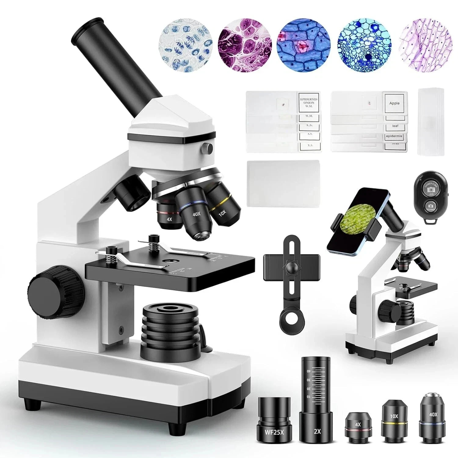 Compound Microscope - 100X-2000X High-Power Biological Microscope(White) Compound Microscope - 100X-2000X High-Power Biological Microscope(White)