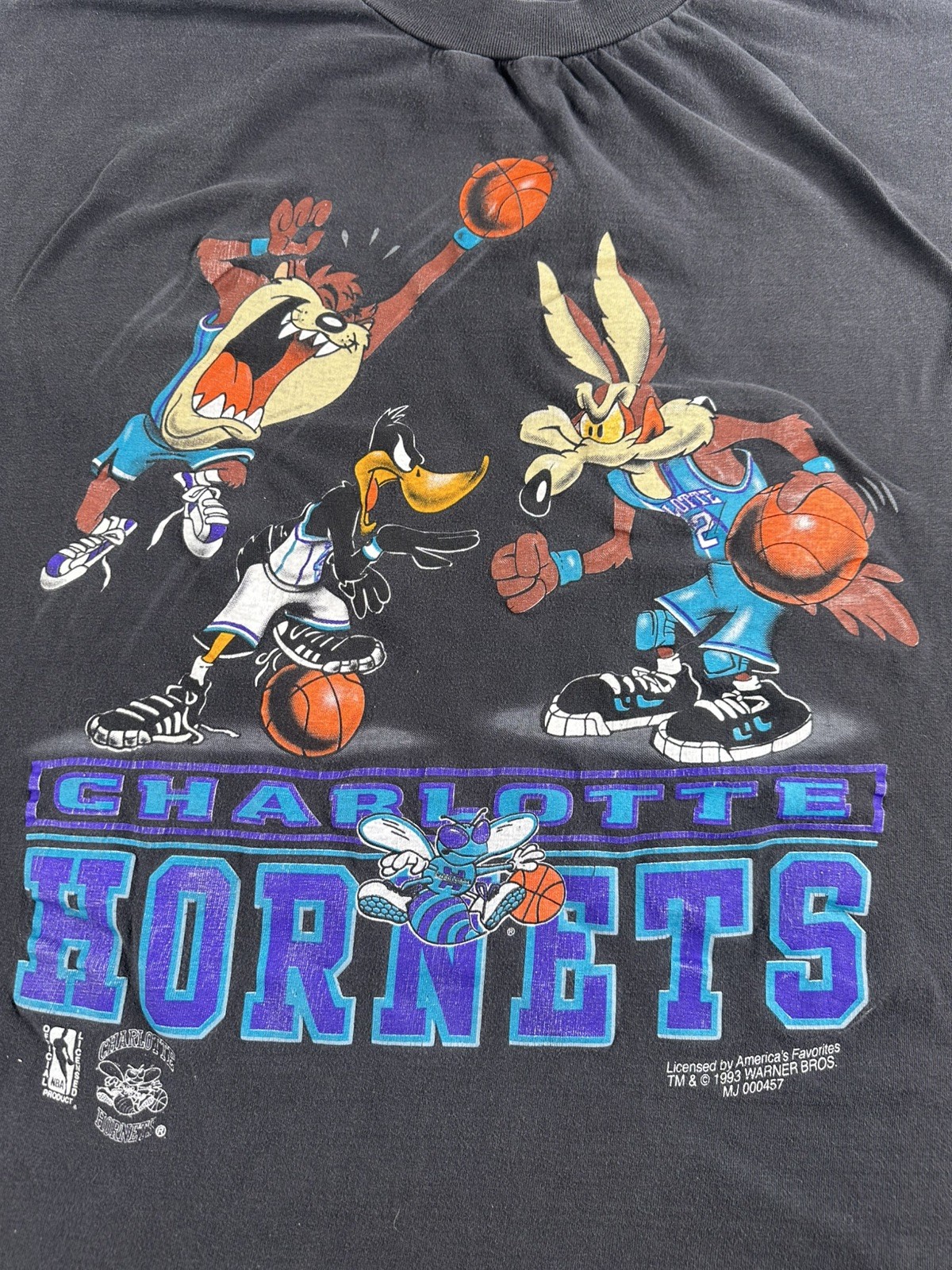 Vintage Looney Tunes Charlotte Hornets T Shirt Tee 1996 TAZ Single Stitch RARE Vintage Looney Tunes Charlotte Hornets T Shirt Tee 1996 TAZ Single Stitch RARE