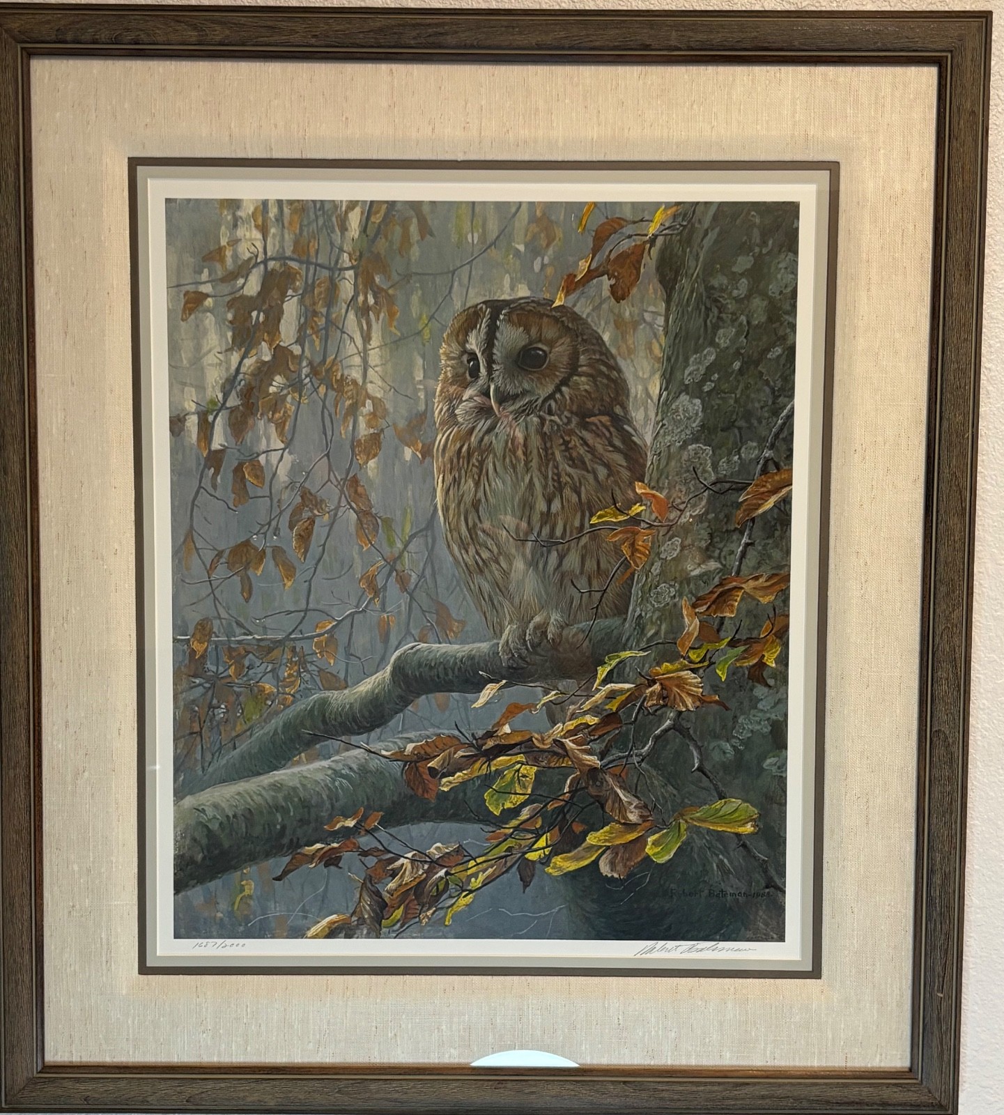 Robert Bateman Signed Tawny Owl Print – Framed 1988 Limited Edition (1687/2000)