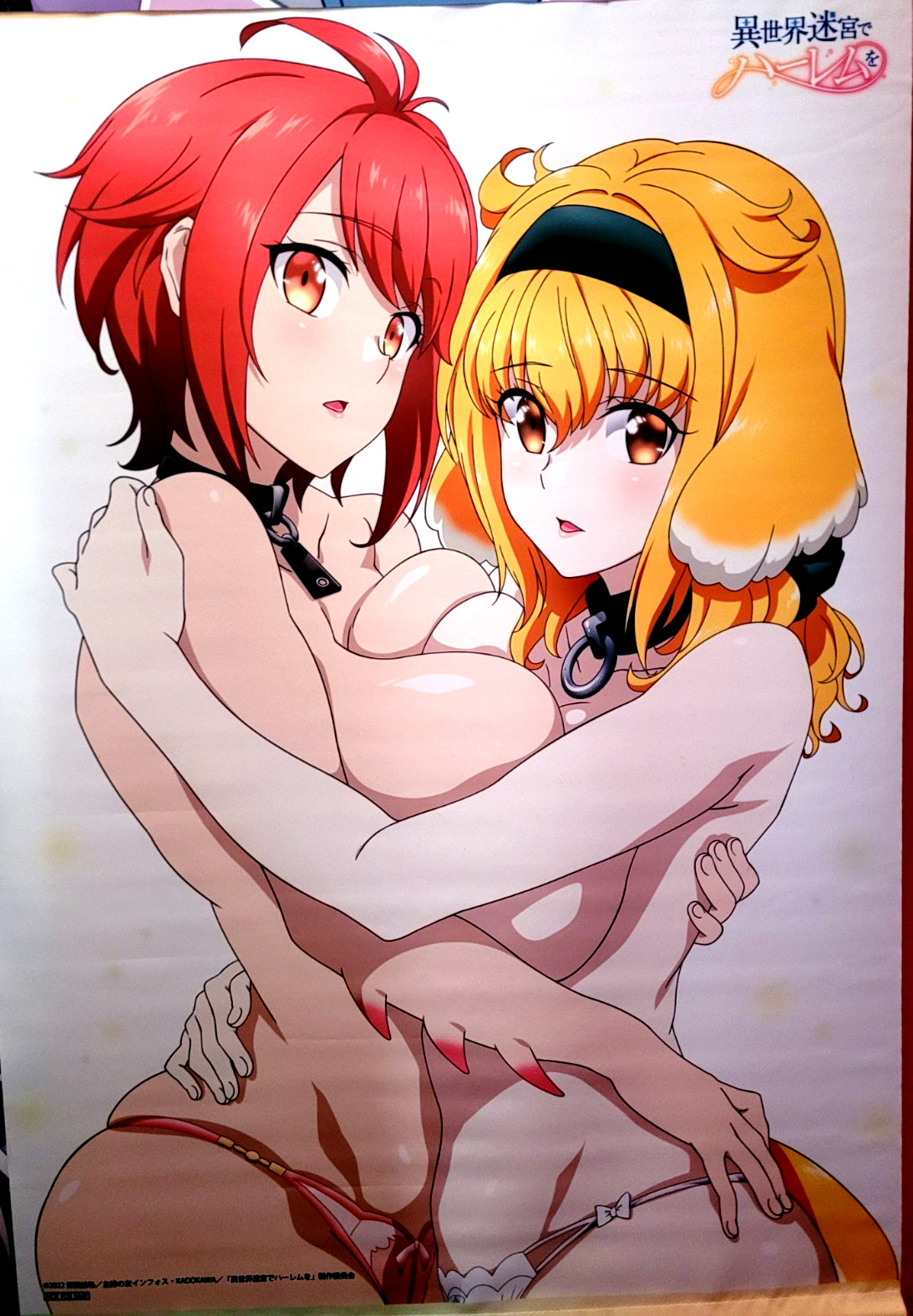 Harem in the Labyrinth of Another World B2 Tapestry: Roxanne & Vesta