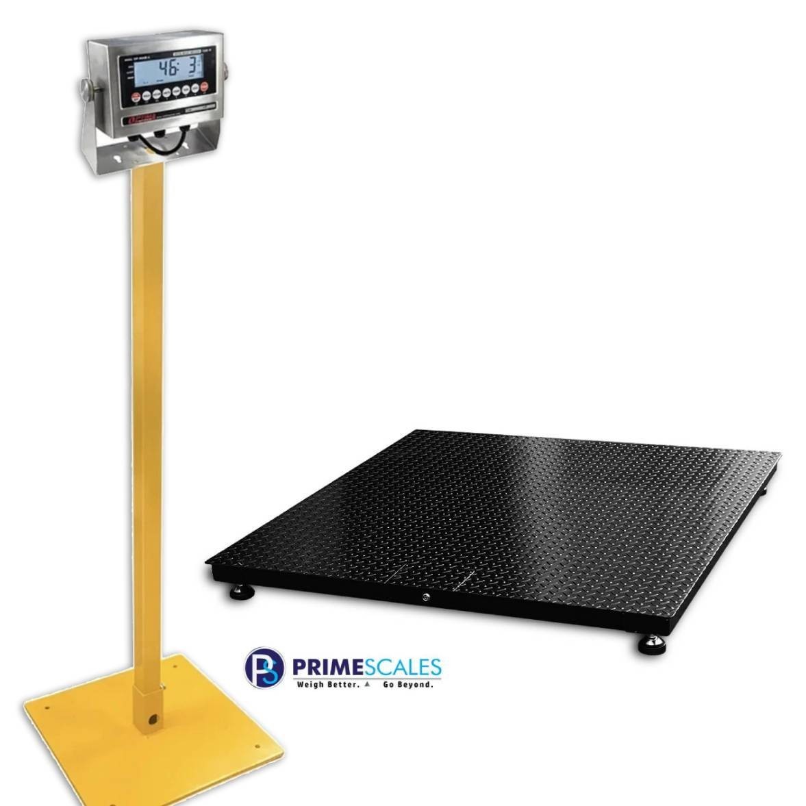 New Prime Scale (48