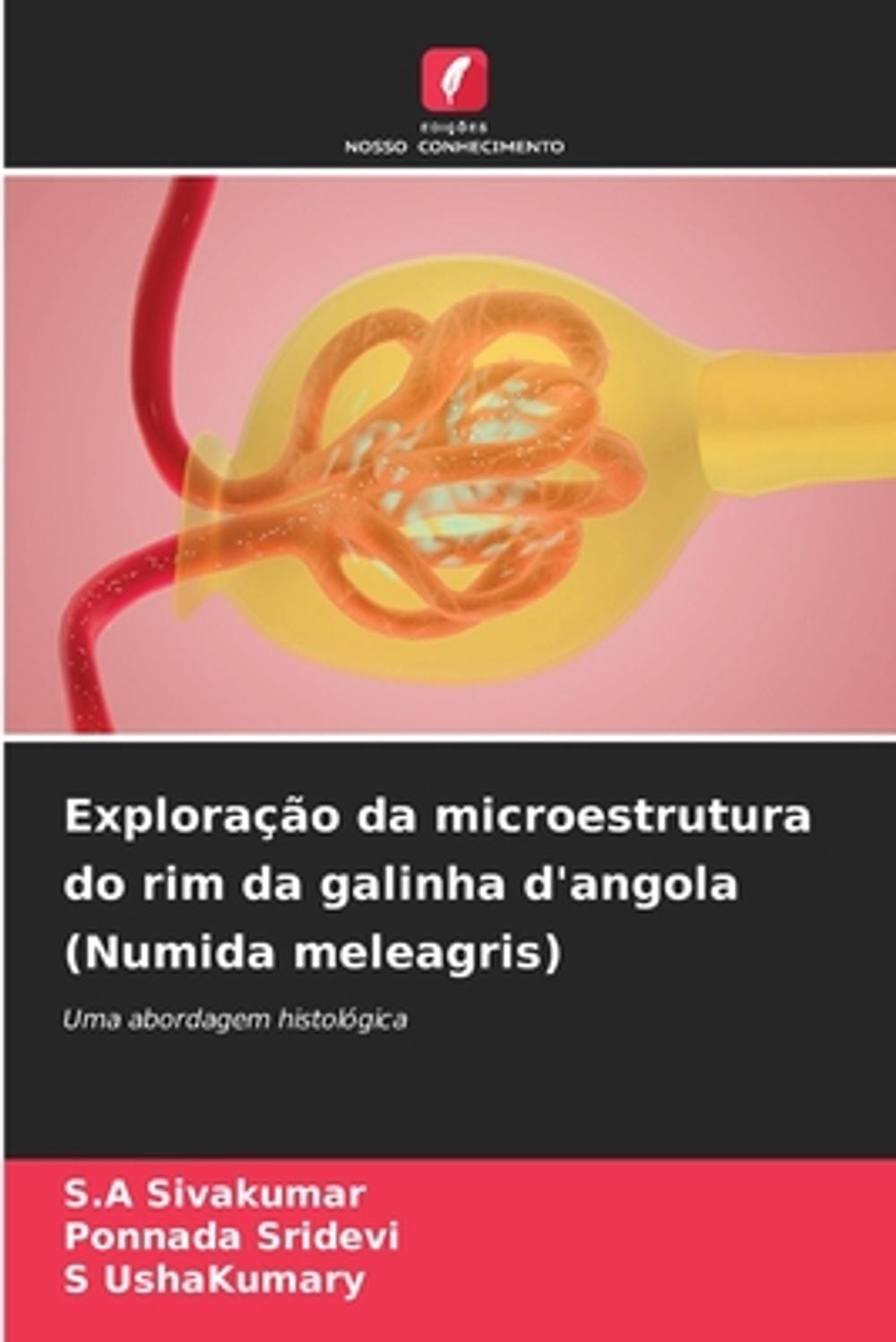Explorao da microestrutura do rim da galinha d\'angola (Numida meleagris) by S.A.
