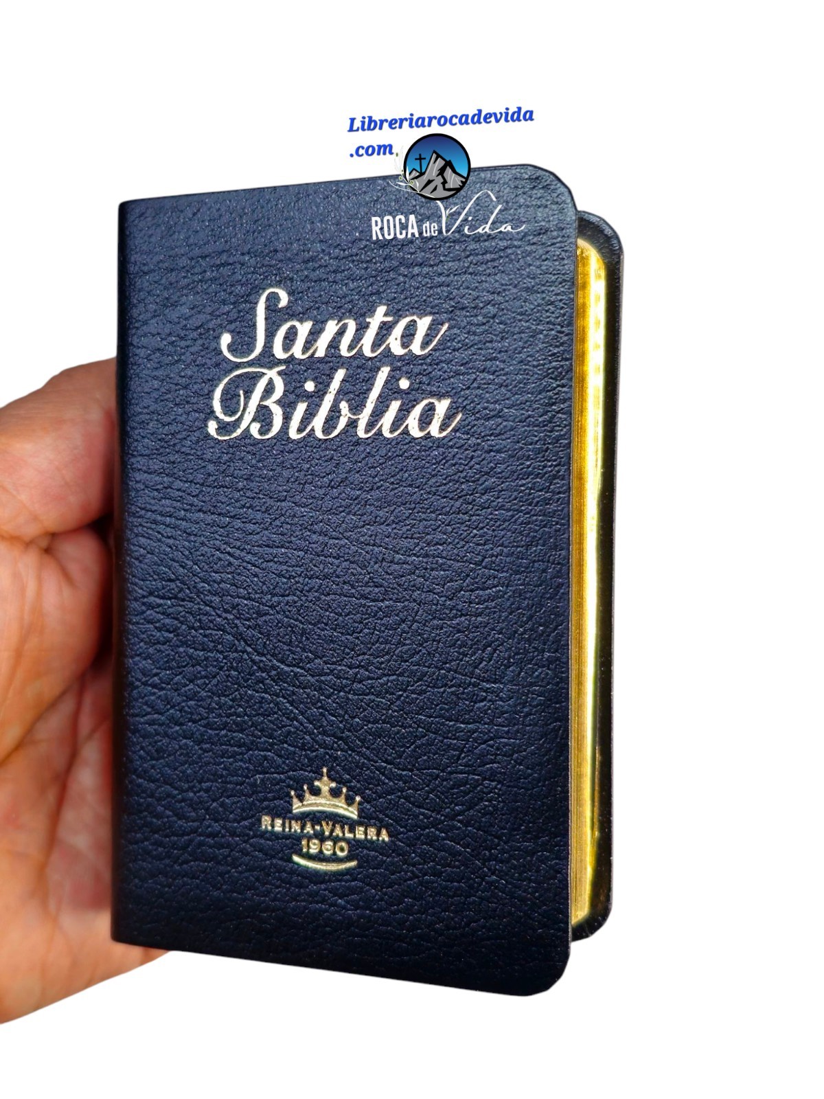 BIBLIA MINI BOLSILLO IMI PIEL NEGRO REINA VALERA 1960 CANTO DORADO BIBLIA MINI BOLSILLO IMI PIEL NEGRO REINA VALERA 1960 CANTO DORADO