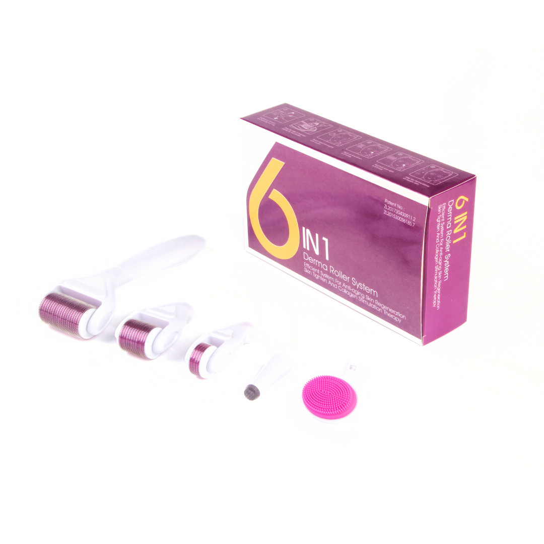6 in 1 Derma Roller Skincare Kit Titanium Micro Needle Roller for Face and Body