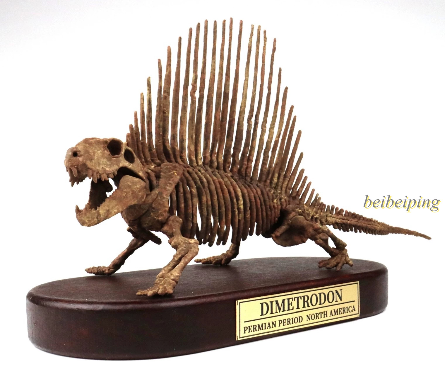 1/18 Dimetrodon Skeleton Fossil Statue Permian Reptile Display Decor 3D Printed
