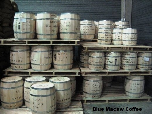 100 % Jamaican Blue Mountain Coffee Beans Medium Roasted 10 Pounds in 1 LBS Bags 100 % Jamaican Blue Mountain Coffee Beans Medium Roasted 10 Pounds in 1 LBS Bags