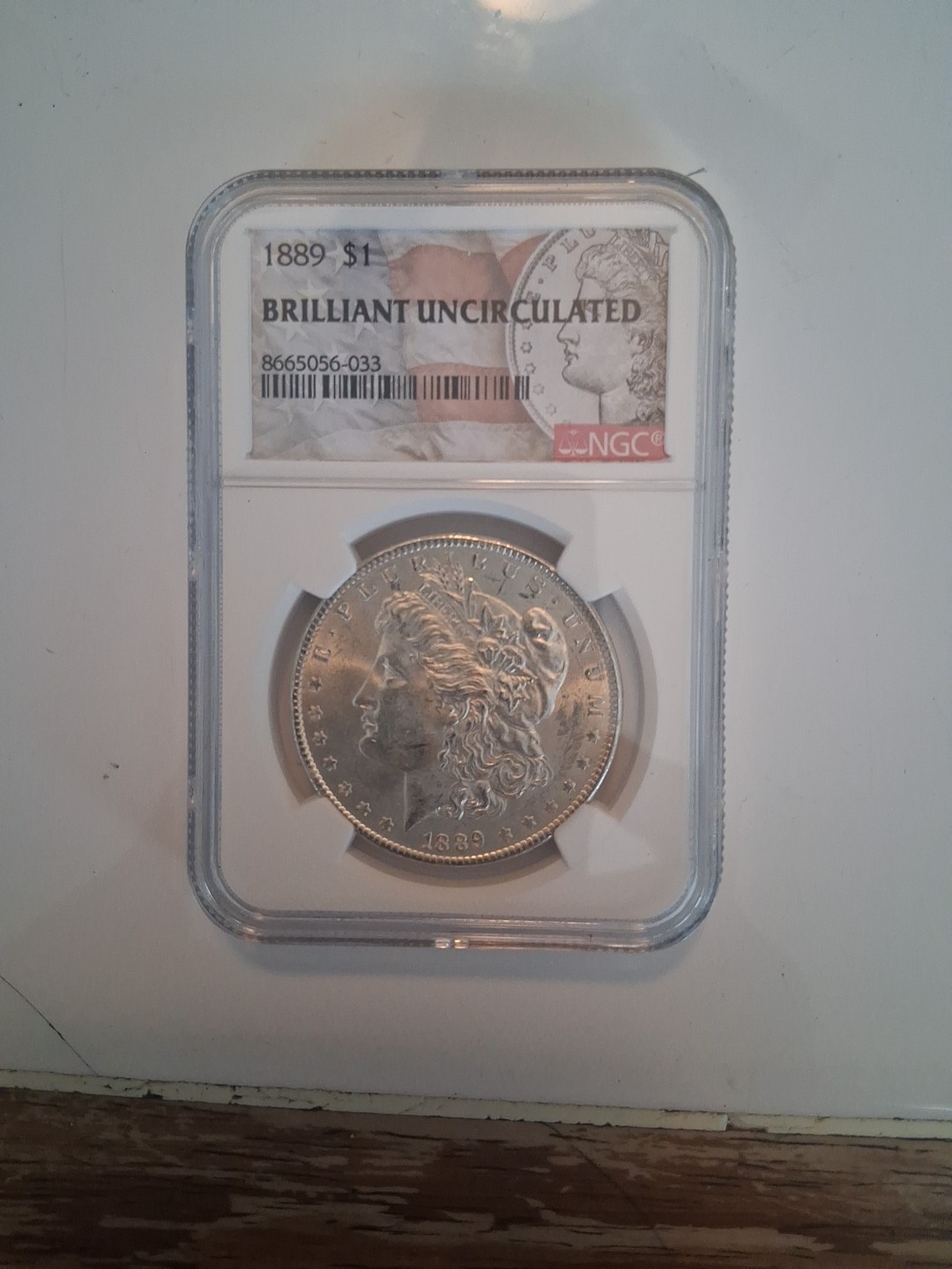 1889 $1 Brilliant Uncirculated  NGC #8665056-033-NO MINT MARK-STRIKES ON MOUTH