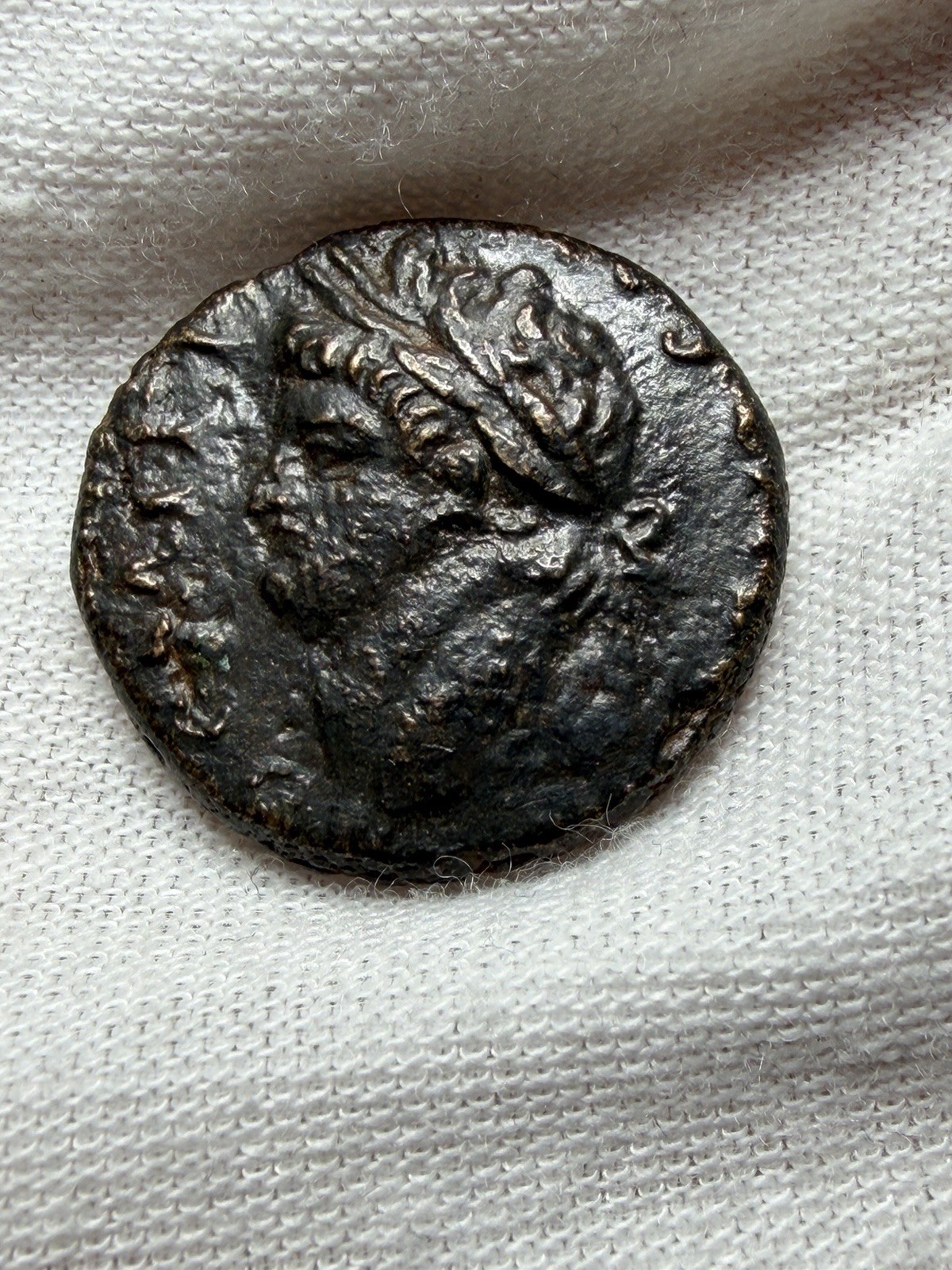 Seleucis and Pieria. Antioch. Domitian AD 81-96. Bronze Æ 20 mm, 6,58 g Very F