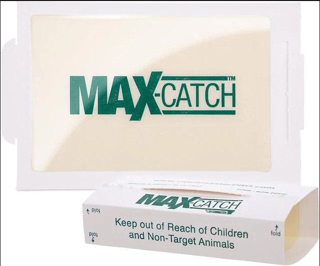 Catchmaster 72Max Glue Board Mouse Insects Trap 
