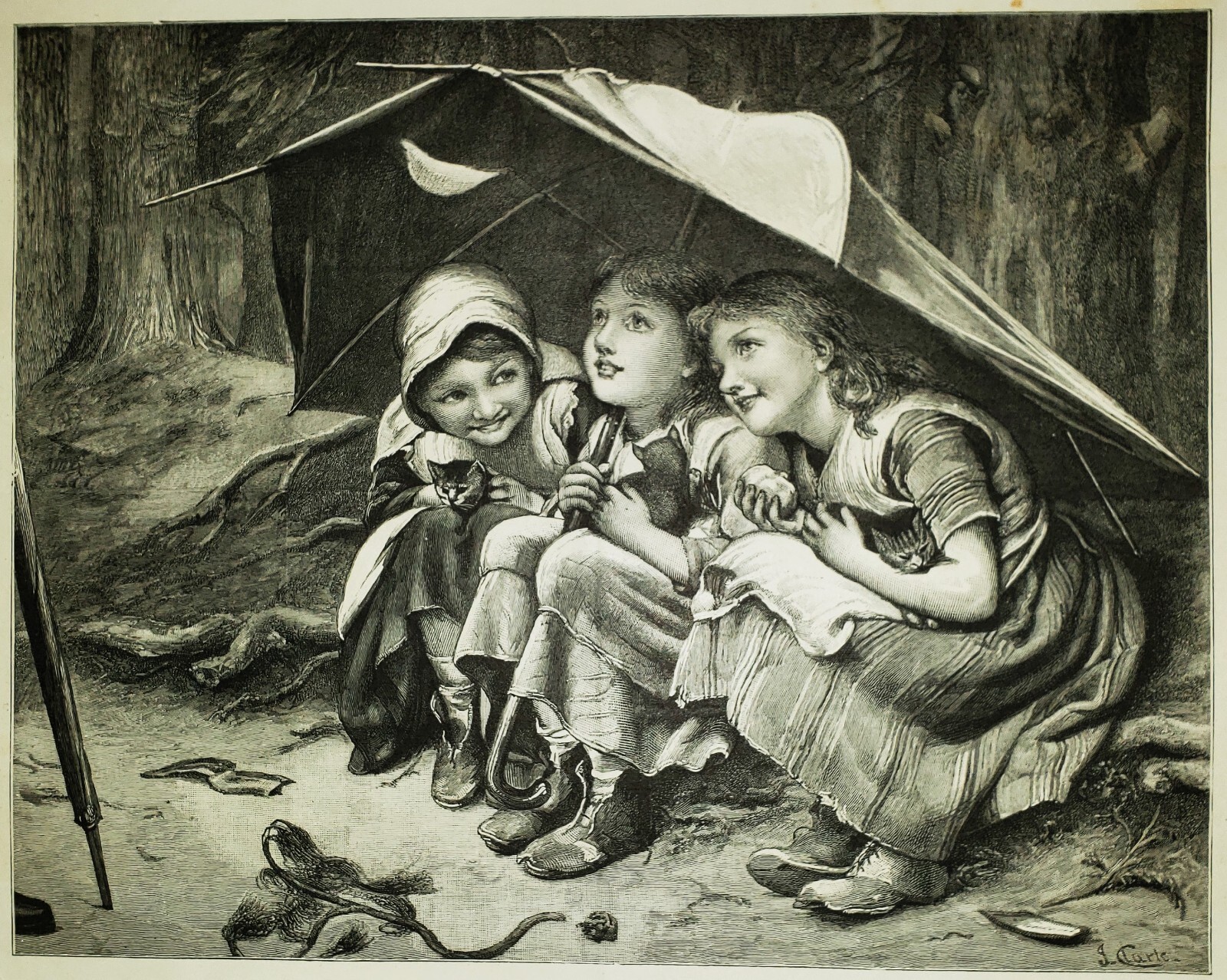 JOSEPH CLARK (1834-1926) Antique Original SIGNED Victorian ENGRAVING 3 Kittens